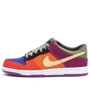 Nike Dunk Low Pro B 'Viotech'