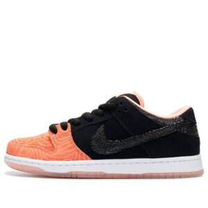 Nike Premier x Dunk Low Pro SB 'Fish Ladder'